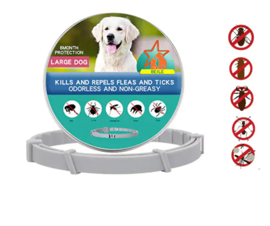 Dog flea and tick collar with packaging featuring a large dog and pest icons on a white background.