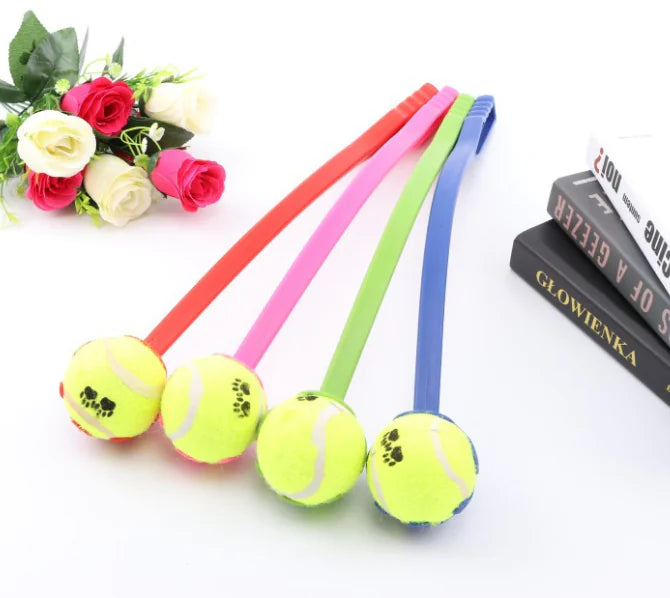 Colorful rubber bands with tennis ball ends on a white surface with flowers and books in the background.