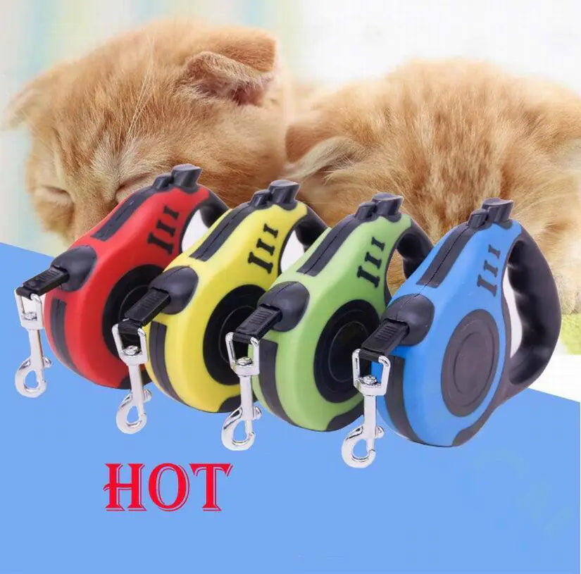 Four colorful pet leashes on a blue background with a dog in the background.