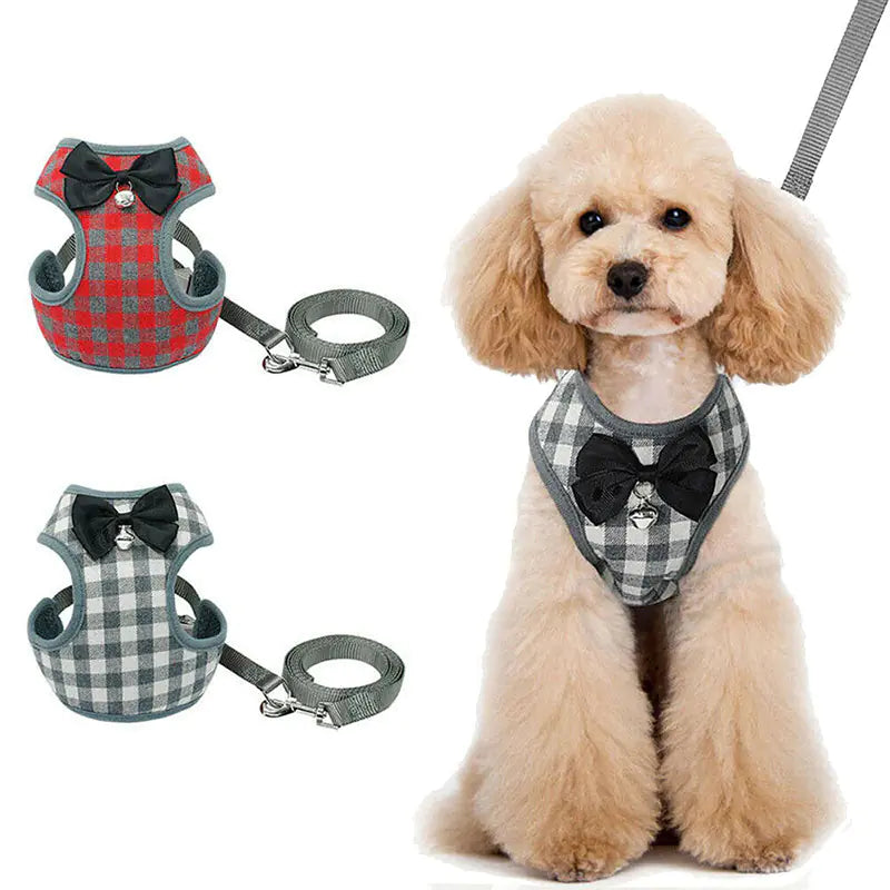 Dog wearing a checkered harness with a bow tie, next to two additional harnesses and a leash on a white background.