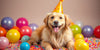 Top 10 Adorable Birthday Outfits for Dogs in 2025