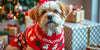 The Ultimate Guide to Choosing the Best Dog Christmas Sweaters for the Holiday Season