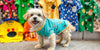 Stylish Puppy Shirts: The Ultimate Guide to Dressing Your Furry Friend