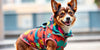 Discover the Best Dog Clothing Brand for Fashionable and Comfortable Canine Outfits