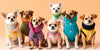 Stylish Small Dog Outfits: Top Trends for 2025