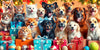 Finding the Purr-fect Present: 25 Unique Gifts for Pet Lovers