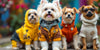 The Ultimate Guide to Stylish Dogs Clothing: Trends and Tips for Your Furry Friend