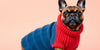 The Ultimate Guide to Stylish Frenchie Sweaters for Your Adorable Companion