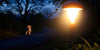 Illuminate Your Night: The Best Dog Walking Light for Safe Evening Strolls