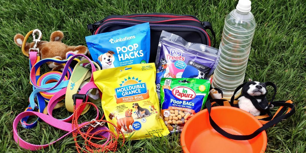 Dog walking essentials: leash, bags, water, and treats.