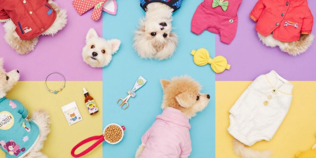 Colorful dog clothing: jackets, sweaters, and accessories.