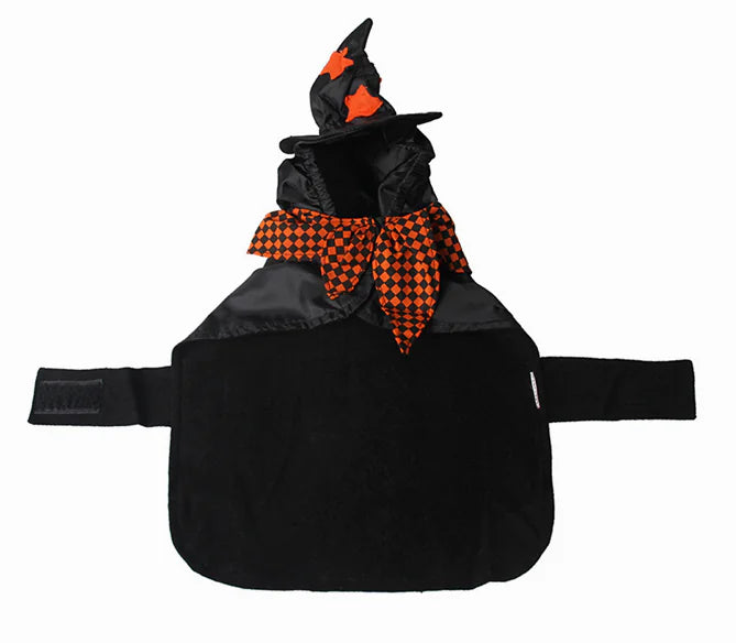 Black pet Halloween costume with orange and black checkered scarf and witch hat on a white background