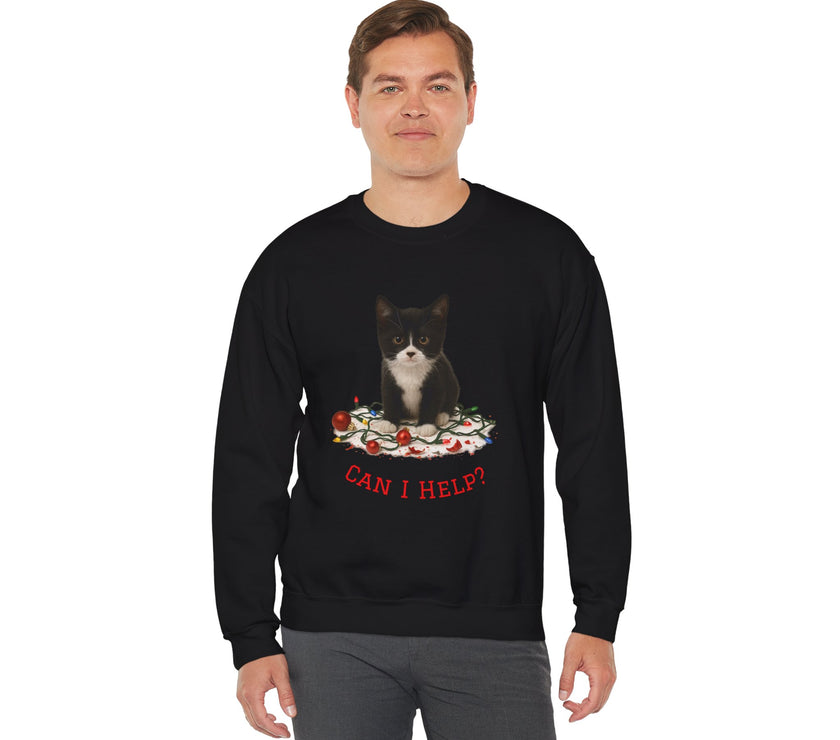 Person wearing a black sweatshirt with a cat graphic and text on a white background