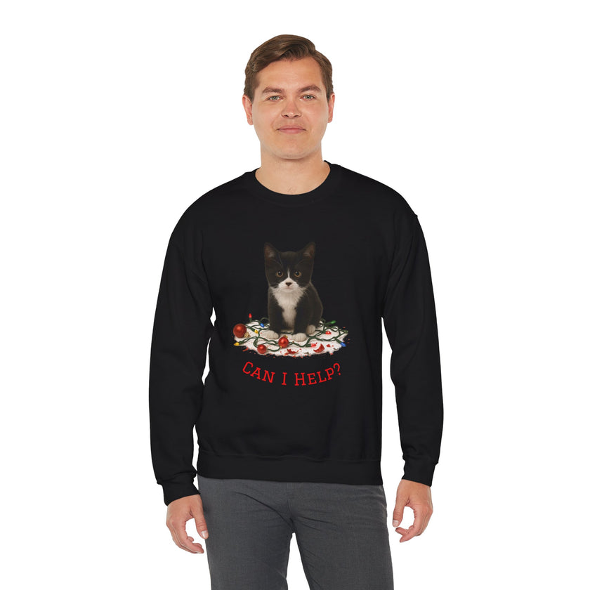 Person wearing a black sweatshirt with a cat graphic and text on a white background