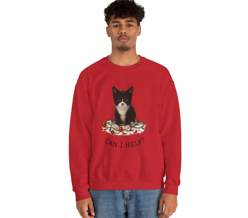 Person wearing a red sweatshirt with a cat graphic and text on a white background