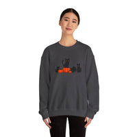 Person wearing a dark gray sweatshirt with black cats and pumpkins design on a white background