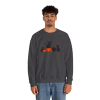 Person wearing a dark gray sweatshirt with black cats and pumpkins design on a white background