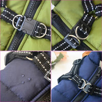 Winter Dog Jacket buckles
