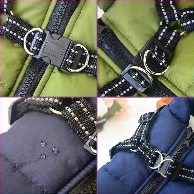 Winter Dog Jacket buckles