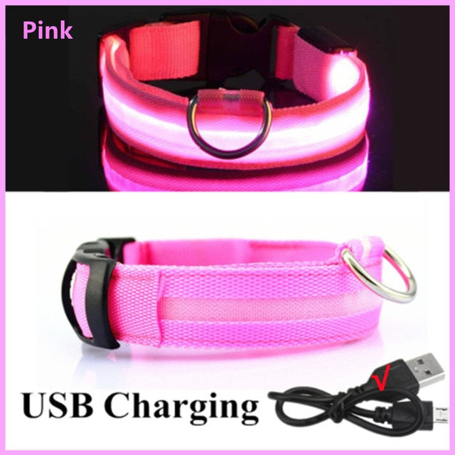 Pink LED Glowing Dog Collar