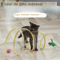 Cat playing with a cat tunnel toy on a wooden floor