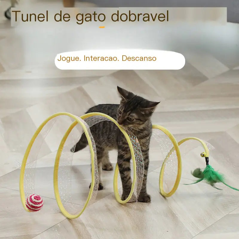 Cat playing with a cat tunnel toy on a wooden floor
