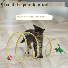 Cat playing with a cat tunnel toy on a wooden floor