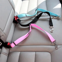 Inside of car showing the use of 3 dog safety seat belts