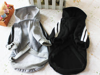 Gray and black pet hoodies with white stripes on a light surface
