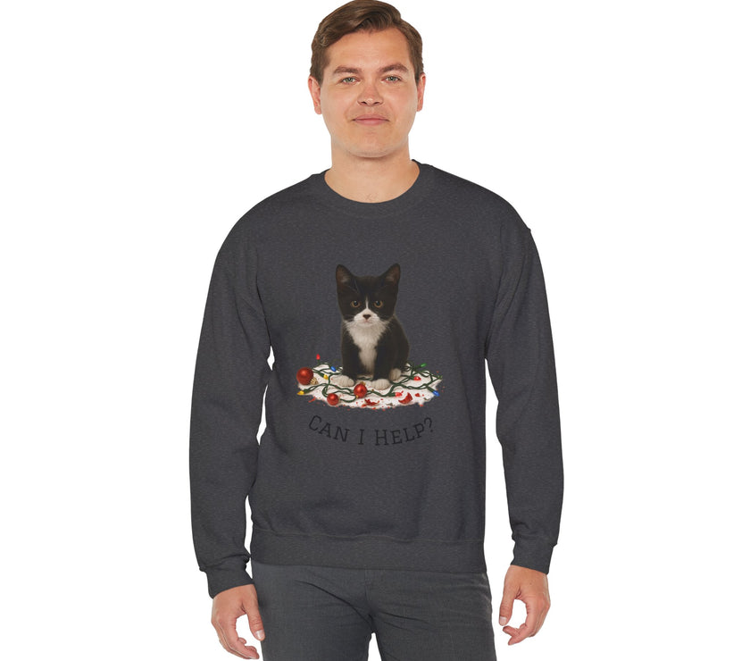 Person wearing a dark gray sweatshirt with a cat graphic and text on a white background