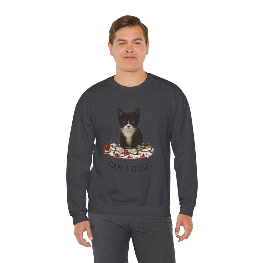 Person wearing a dark gray sweatshirt with a cat graphic and text on a white background