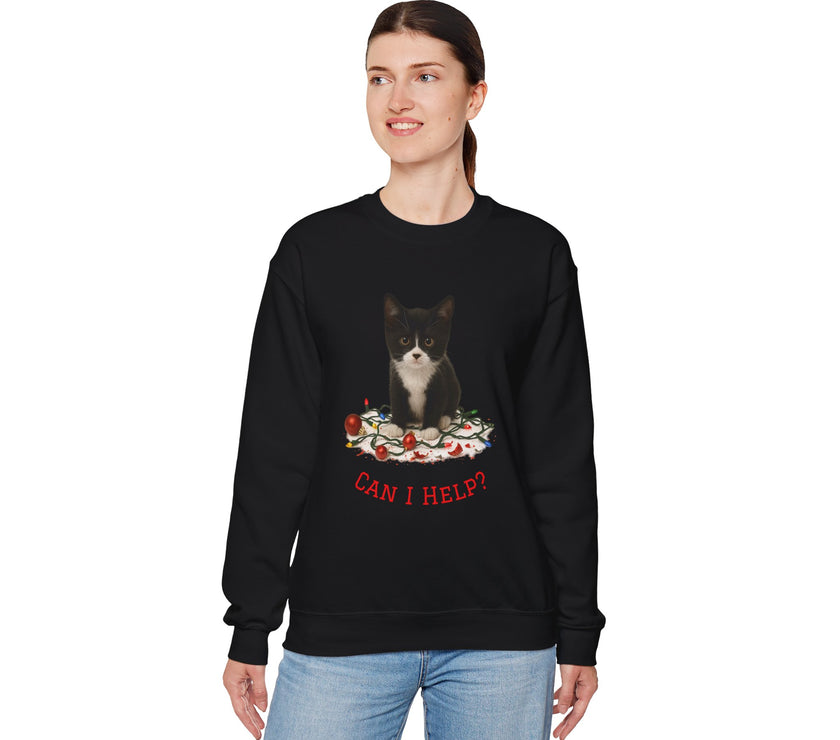 Person wearing a black sweatshirt with a cat graphic and 'Can I Help?' text on a white background