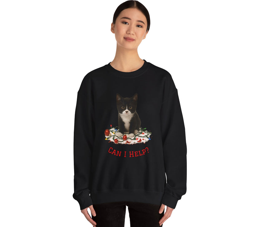 Person wearing a black sweatshirt with a cat graphic and text on a white background