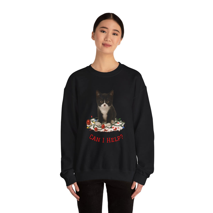 Person wearing a black sweatshirt with a cat graphic and text on a white background