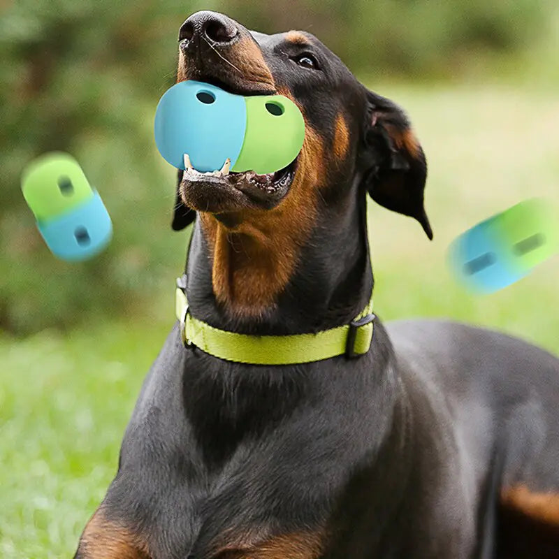 Dog playing with Leakage Food Ball for Dogs