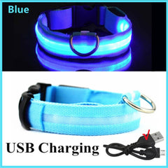 Glowing Dog Collar Blue UAB charging