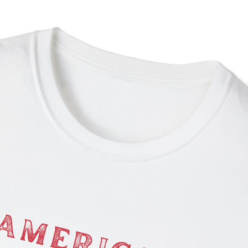 T-shirt (view of collar) featuring an American flag graphic with the words 'AMERICAN DREAM' in red and blue text above and below the flag