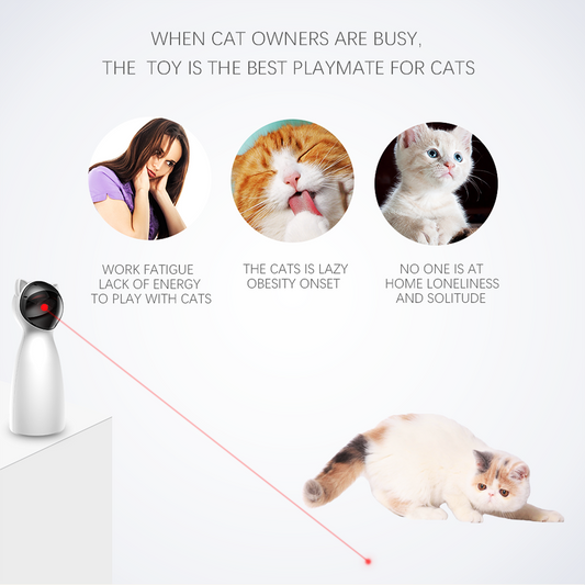 Cat toy with text highlighting its benefits for cat owners, including lack of energy and obesity onset.