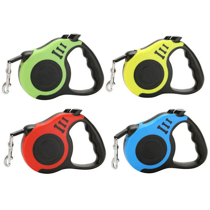 Four colorful retractable dog leashes on a white background