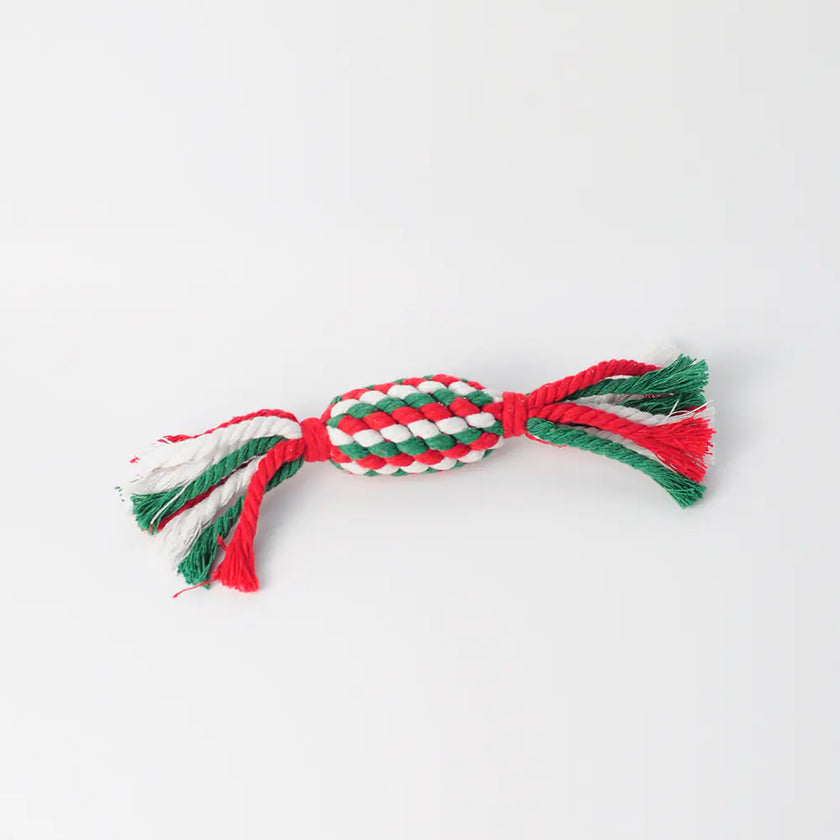 Red, green, and white braided dog toy on a light gray background