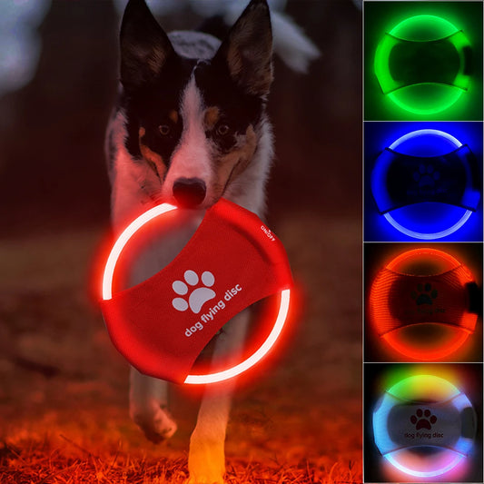 Dog playing with a glowing red disc toy at night, with color options displayed.