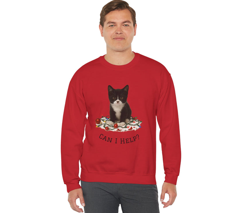 Person wearing a red sweatshirt with a cat graphic and text on a white background