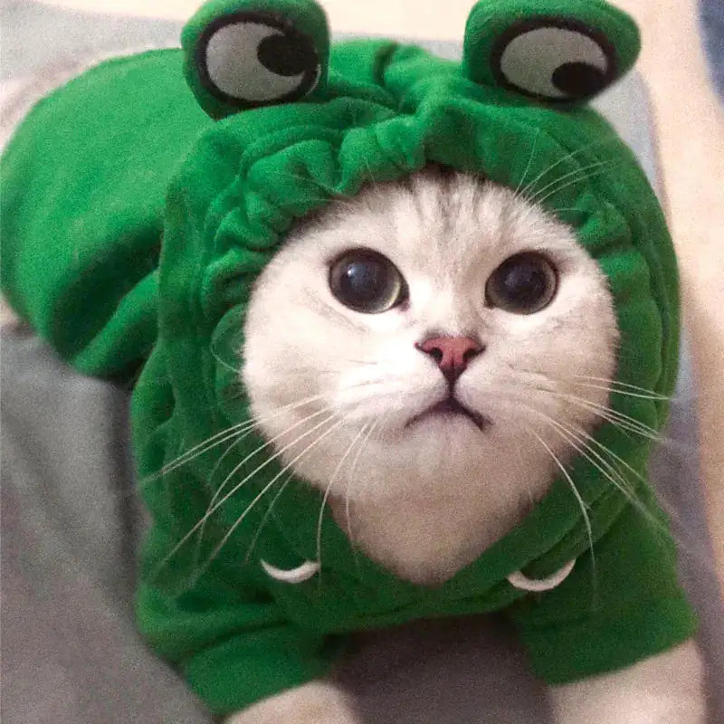 Green Frog Costume for cat or small dog