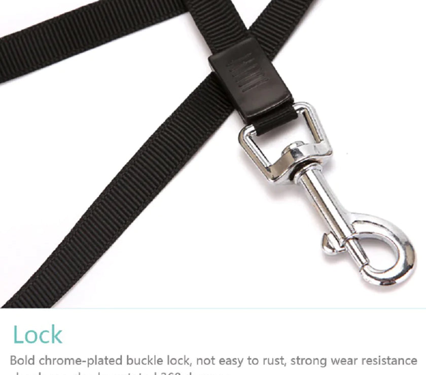 Black dog leash with a chrome-plated buckle lock on a white background