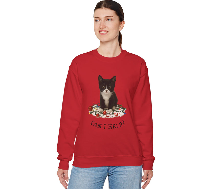 Person wearing a red sweatshirt with a cat graphic and text on a white background