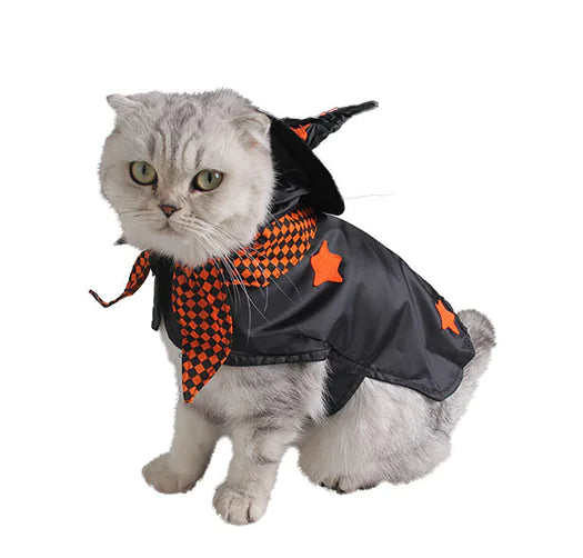 Cat wearing a Halloween-themed costume with a black cape and orange accents on a white background