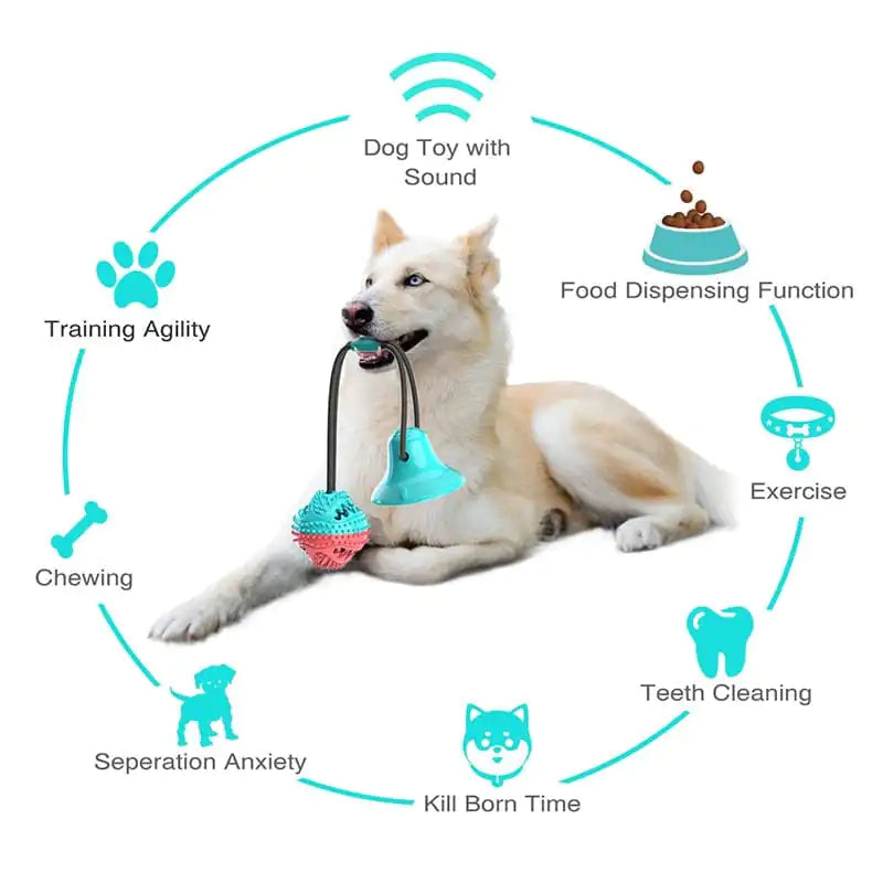 Silicone Suction Cup Dog Toy advantages