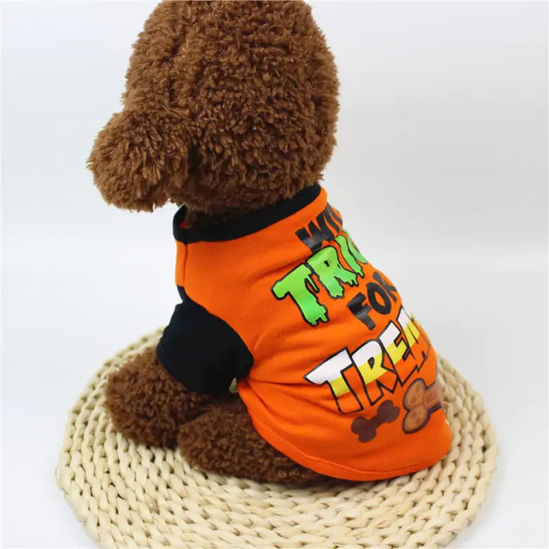 Dog wearing an orange Halloween-themed shirt with text and bones on a white background