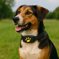 Multicollar dog wearing GPS collar