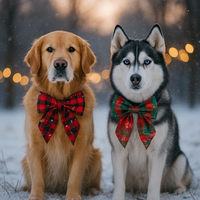 Two dogs, a Golden Retriever and a Husky, wearing festive plaid bows in a snowy setting with blurred lights in the background.